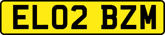 EL02BZM