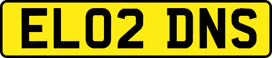 EL02DNS
