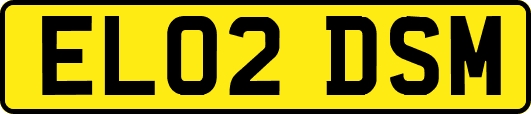 EL02DSM