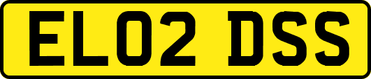 EL02DSS