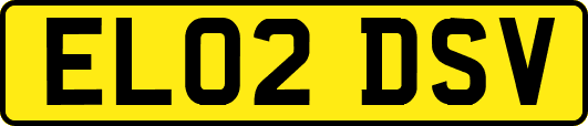 EL02DSV