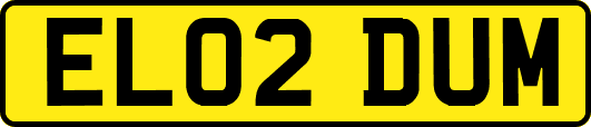 EL02DUM