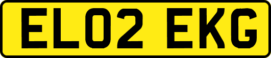 EL02EKG