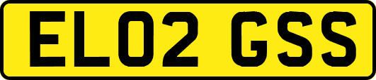 EL02GSS