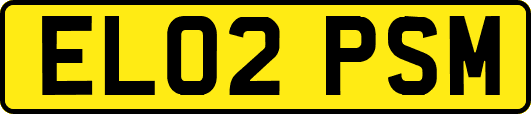 EL02PSM