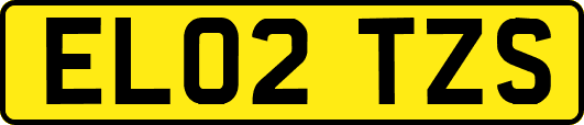 EL02TZS