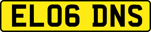 EL06DNS