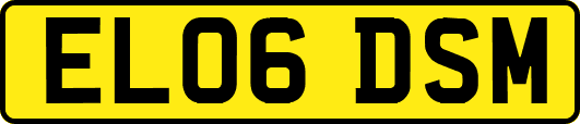 EL06DSM
