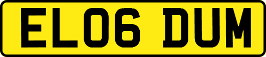 EL06DUM