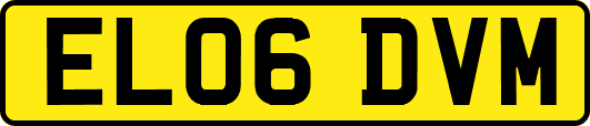 EL06DVM