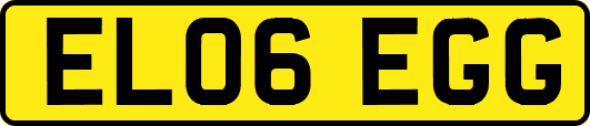 EL06EGG