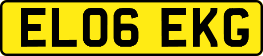 EL06EKG