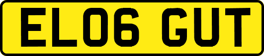 EL06GUT