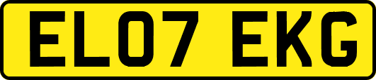 EL07EKG