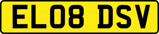EL08DSV
