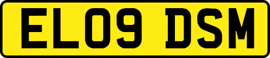 EL09DSM