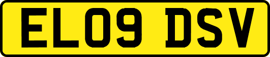EL09DSV