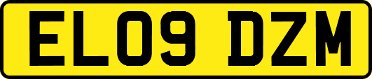 EL09DZM