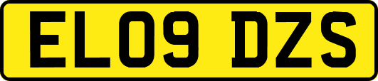 EL09DZS