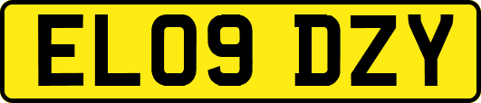 EL09DZY