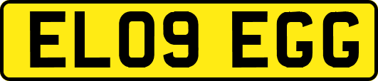 EL09EGG