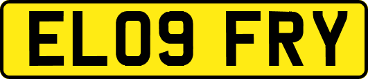 EL09FRY
