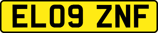 EL09ZNF