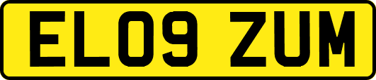 EL09ZUM