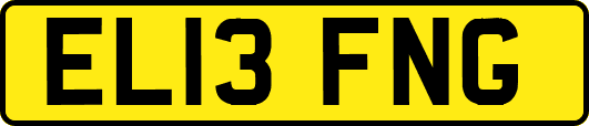 EL13FNG