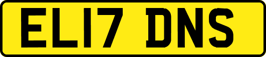 EL17DNS