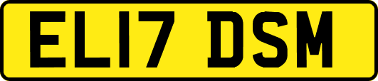 EL17DSM