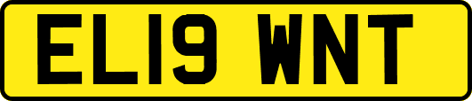 EL19WNT