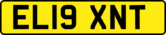 EL19XNT