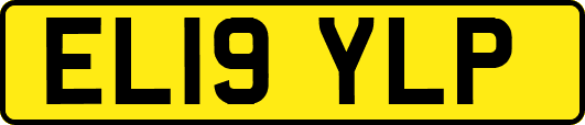 EL19YLP