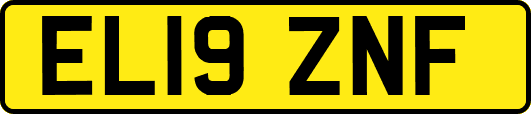 EL19ZNF