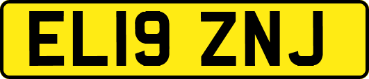 EL19ZNJ