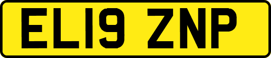 EL19ZNP