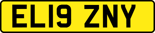 EL19ZNY