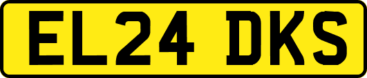 EL24DKS