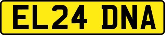 EL24DNA