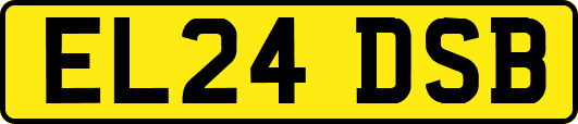 EL24DSB