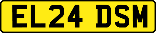 EL24DSM