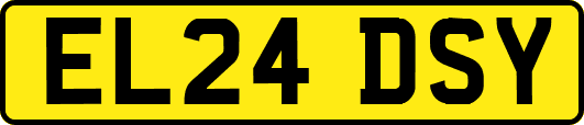EL24DSY