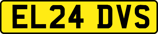 EL24DVS