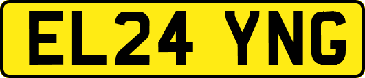 EL24YNG