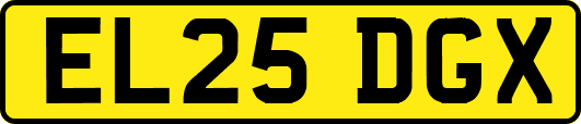 EL25DGX