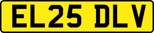 EL25DLV