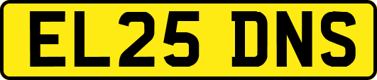 EL25DNS
