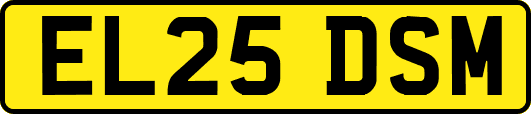 EL25DSM