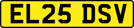 EL25DSV